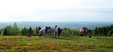 Canada-Quebec-Parc Massif du Sud Ride